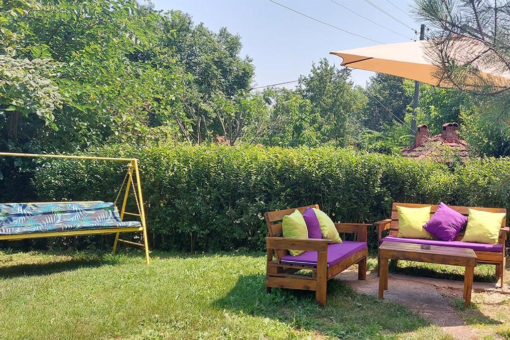Ramonda * Dolna Matka