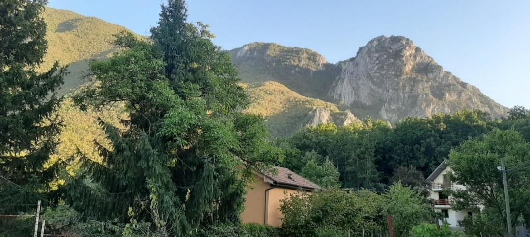 Ramonda Apartment Dolna Matka