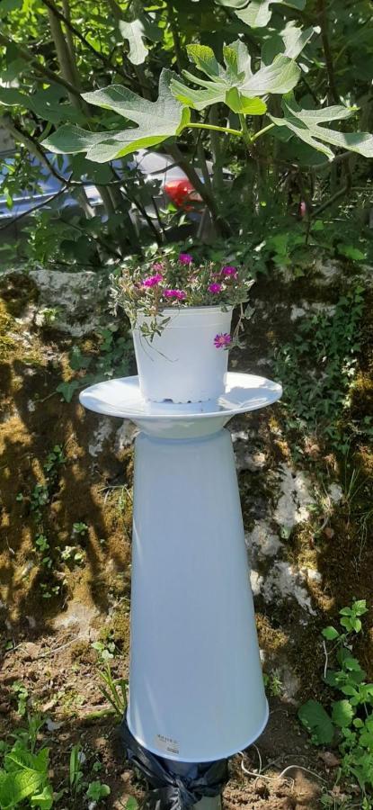 Apartment Ramonda Dolna Matka